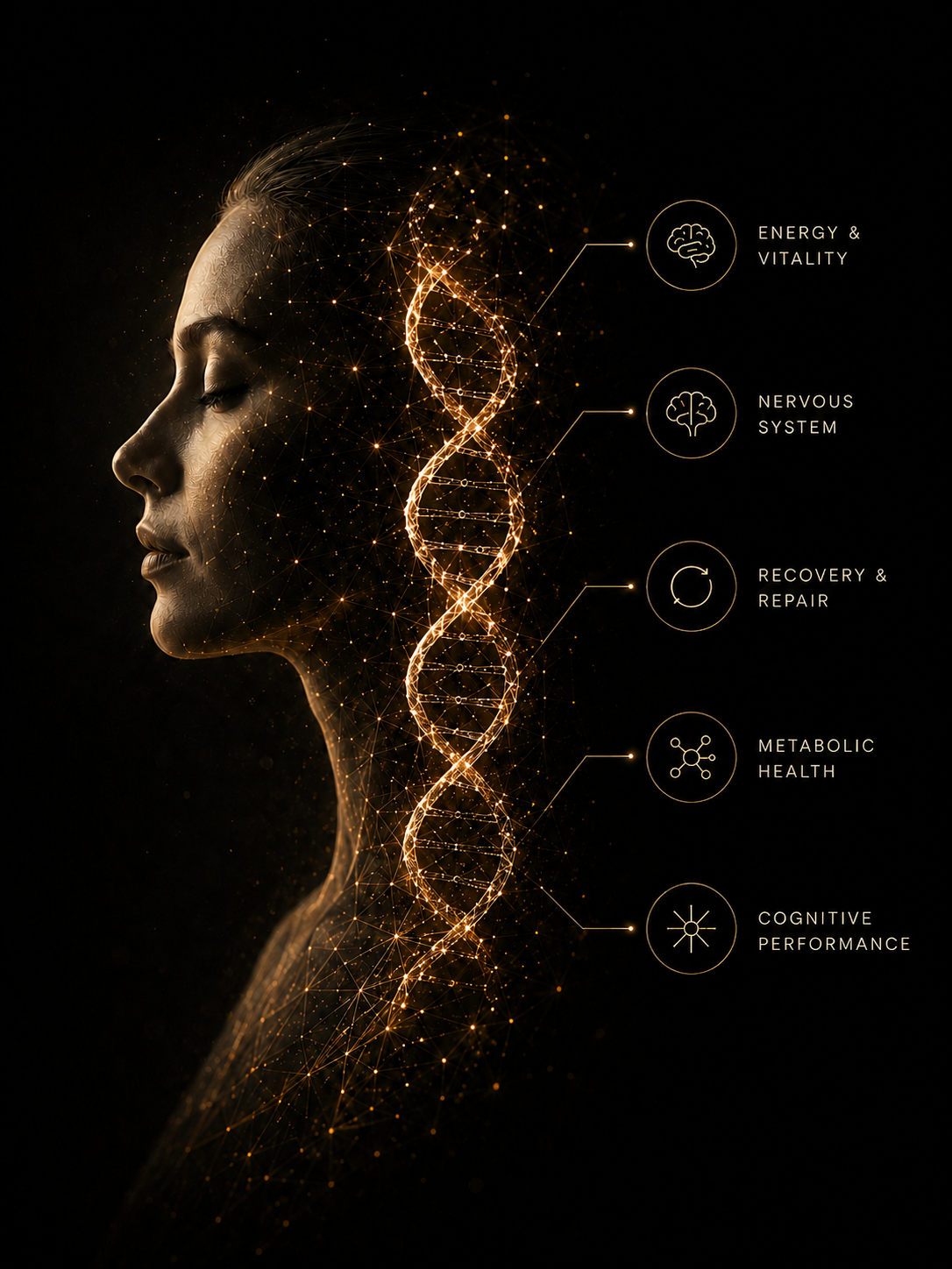 Biological systems mapped across the human body